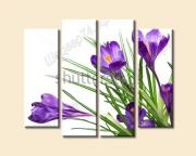 modul_pechat/02_landscape_flowers/mod_pechat_peizaj zveti shutter 233450146 